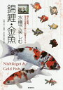 水槽で楽しむ錦鯉・金魚 横から鑑賞。日本の伝統魚の新しい飼育スタイル/水槽で楽しむ錦鯉・金魚制作委員会【3000円以上送料無料】