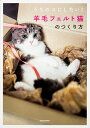 うちのコにしたい!羊毛フェルト猫のつくり方/Hinali【3000円以上送料無料】