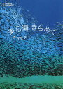 美ら海きらめく/中村征夫【3000円以上送料無料】