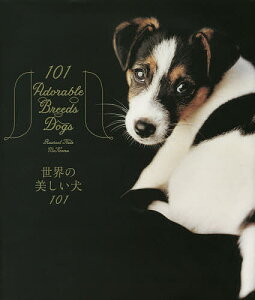 世界の美しい犬101／レイチェル・ヘイル・マッケナ／山根義久／大浜千尋【3000円以上送料無料】