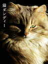 猫ダンディー【3000円以上送料無料】