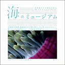 海のミュージアム 地球最大の生態系を探る/ルイス・ブラックウェル/千葉啓恵【3000円以上送料無料】