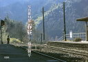 春昼 写真俳句集/藤井樹平【3000円以上送料無料】