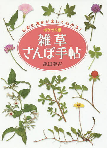 雑草さんぽ手帖 ポケット版／亀田龍吉【3000円以上送料無料】