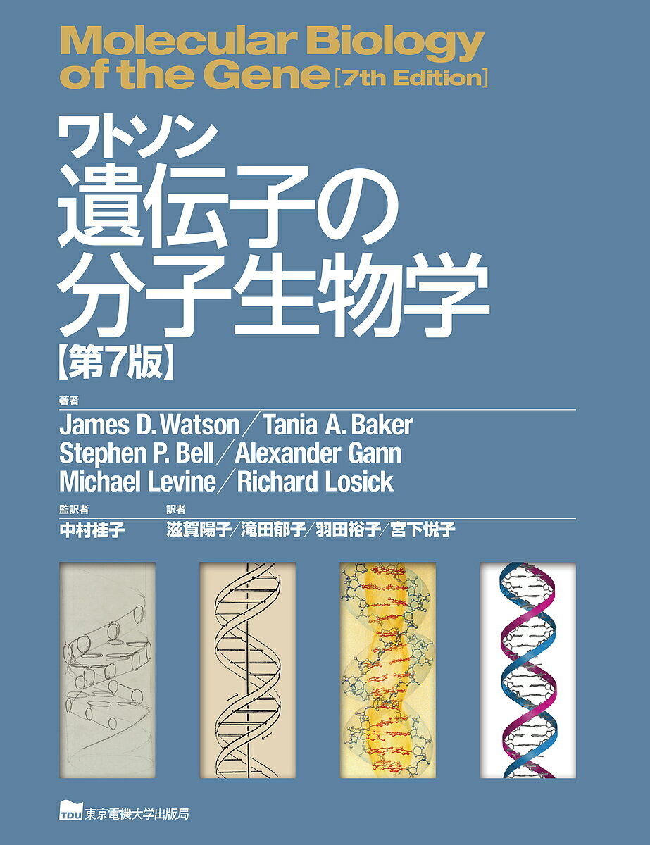 ヒト、イヌと語る コーディーとKの物語[本/雑誌] / 菊水健史/著 永澤美保/著