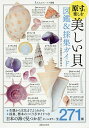 原寸で楽しむ美しい貝図鑑&採集ガイド/池田等【3000円以上送料無料】