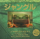 ジャングル/キャシー・ウォラード/ダン・ケイネン/きたなおこ/子供/絵本【3000円以上送料無料】