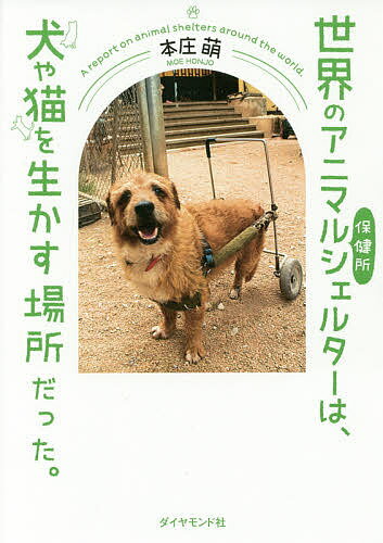 世界のアニマルシェルターは、犬や猫を生かす場所だった。／本庄萌【3000円以上送料無料】