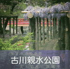 古川親水公園 せせらぎの季節／原順子【3000円以上送料無料】