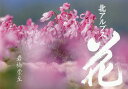 北アルプス花/岩橋崇至【3000円以上送料無料】
