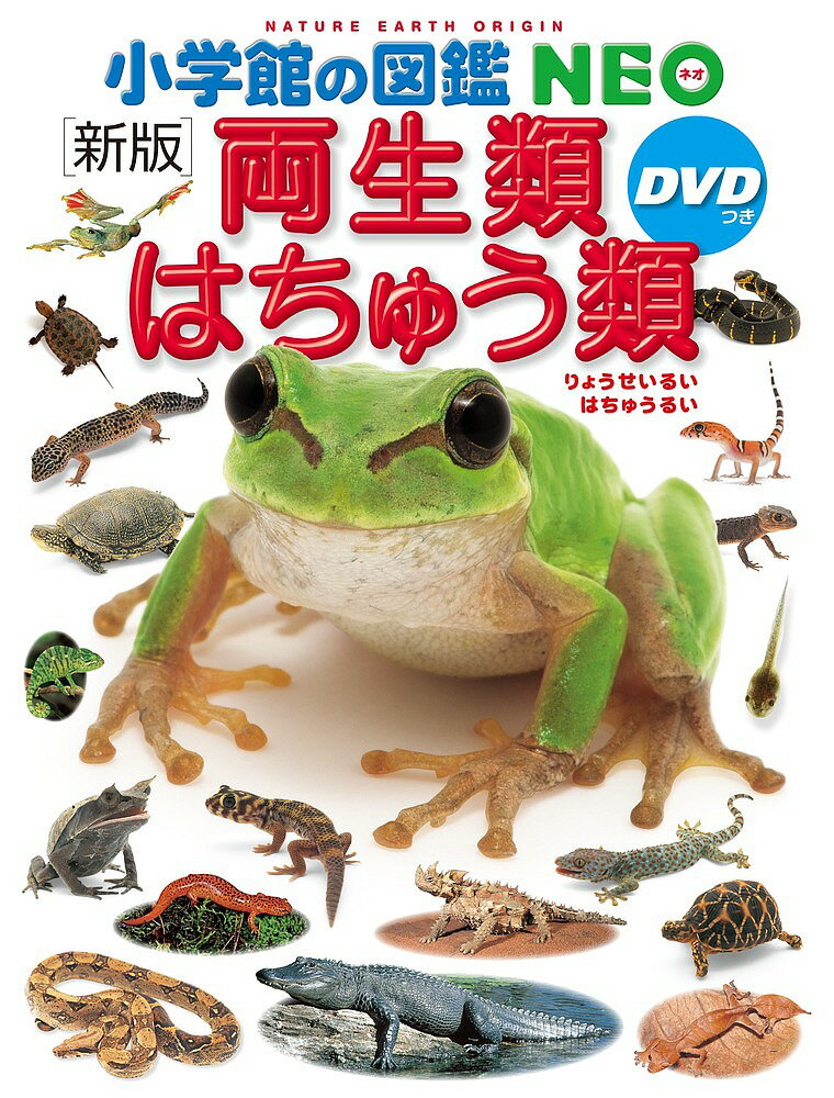 両生類・はちゅう類／松井正文／・執筆疋田努／・執筆太田英利【3000円以上送料無料】