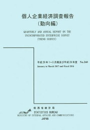 個人企業経済調査報告 平成29年1～3月期及び平成28年度動向編／総務省統計局【3000円以上送料無料】