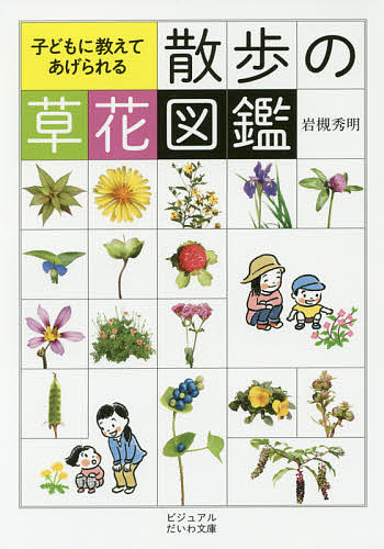 子どもに教えてあげられる散歩の草花図鑑／岩槻秀明【3000円以上送料無料】