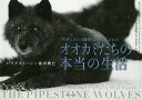 30年にわたる観察で明らかにされたオオカミたちの本当の生活 パイプストーン一家の興亡／ギュンター・ブロッホ／ジョン・E・マリオット／今泉忠明【3000円以上送料無料】