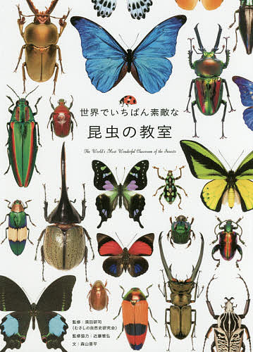 世界でいちばん素敵な昆虫の教室／須田研司／森山晋平【3000円以上送料無料】