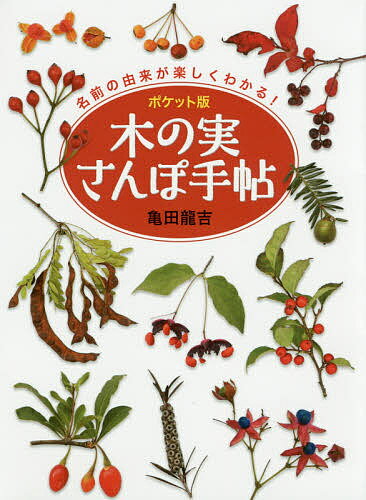 木の実さんぽ手帖 名前の由来が楽しくわかる! ポケット版／亀田龍吉【3000円以上送料無料】