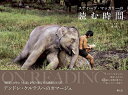 スティーヴ・マッカリーの読む時間/スティーヴ・マッカリー/渡辺滋人【3000円以上送料無料】