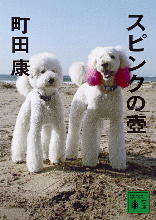 スピンクの壺／町田康【3000円以上送料無料】