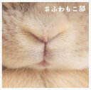 #ふわもこ部 最高のもふもふをあなたに。【3000円以上送料無料】
