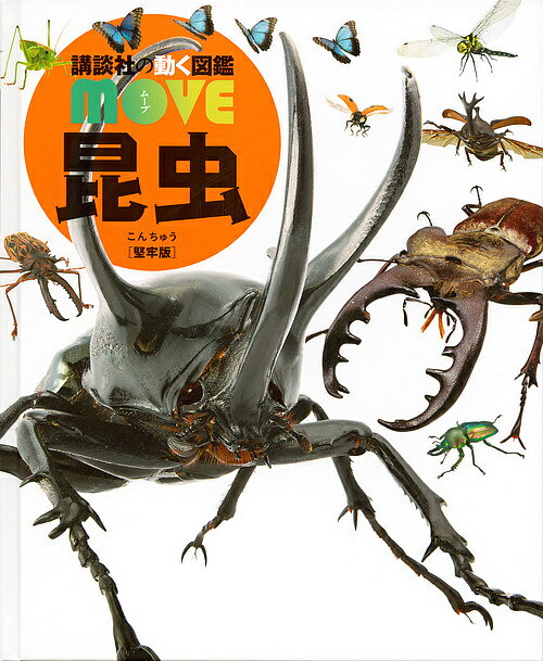講談社の動く図鑑MOVE 昆虫 堅牢版／養老孟司【3000円以上送料無料】のサムネイル