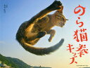 のら猫拳キッズ/久方広之【3000円以上送料無料】