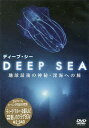 DVD ディープ・シー 地球最後の神秘・【3000円以上送料無料】