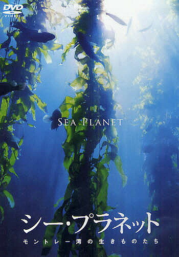 DVD シー・プラネット モントレー湾の【3000円以上送料無料】