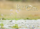 BIRD CALL 光の中で/中村利和【3000円以上送料無料】