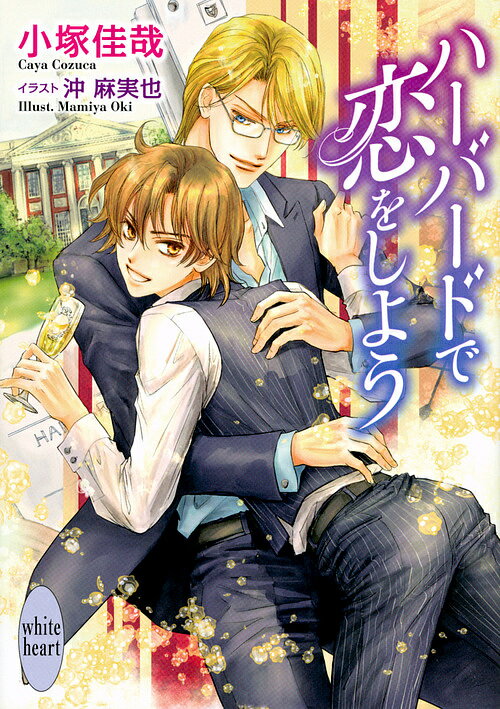 ハーバードで恋をしよう／小塚佳哉【3000円以上送料無料】