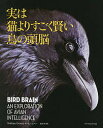 実は猫よりすごく賢い鳥の頭脳/ネイサン・エメリー/渡辺智【3000円以上送料無料】
