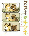 タヌキとキツネ 4/アタモト【3000円以上送料無料】