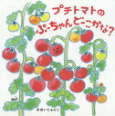 プチトマトのぷーちゃんどーこかな ／おおいじゅんこ【3000円以上送料無料】
