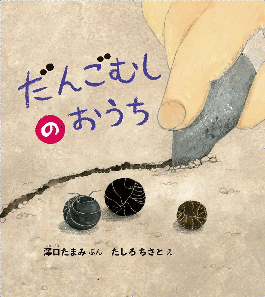 だんごむしのおうち／澤口たまみ／たしろちさと【3000円以上送料無料】