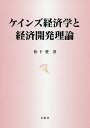 ケインズ経済学と経済開発理論/松下愛【3000円以上送料無料】
