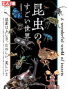 昆虫のすごい世界/丸山宗利【3000円以上送料無料】