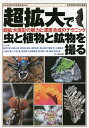 超拡大で虫と植物と鉱物を撮る 超拡大撮影の魅力と深度合成のテクニック／新井文彦