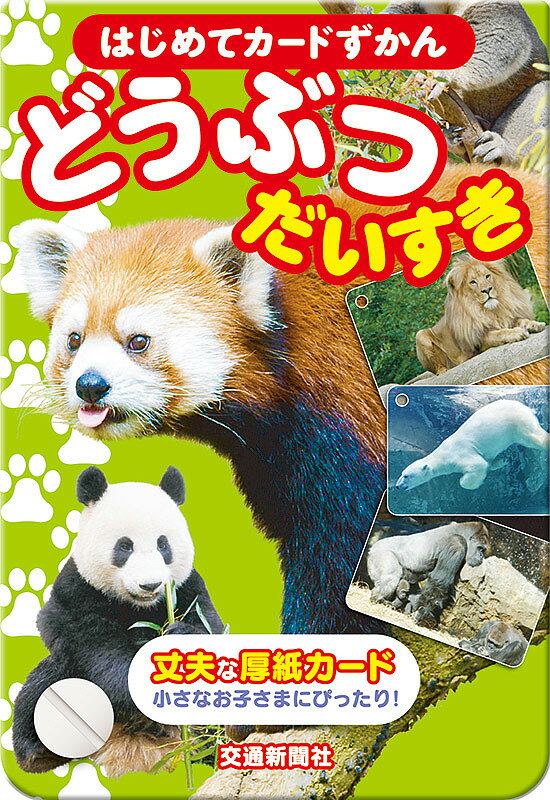 はじめてカードずかん どうぶつだいすき【3000円以上送料無料】
