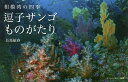 逗子サンゴものがたり 相模湾の四季／長島敏春【3000円以上送料無料】