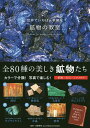 世界でいちばん素敵な鉱物の教室/宮脇律郎【3000円以上送料無料】