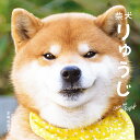 柴犬りゅうじ/本嶋由希子【3000円以上送料無料】