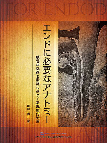 著者川崎孝一(著)出版社クインテッセンス出版発売日2018年09月ISBN9784781206462ページ数195Pキーワードえんどにひつようなあなとみーこんかんの エンドニヒツヨウナアナトミーコンカンノ かわさき こういち カワサキ コウイチ9784781206462内容紹介歯内治療を成功に導くためには、歯の解剖学・組織構造、とくに象牙質／歯髄複合体、根管の構造と機能について広く理解しておくことが重要で、本書では「解剖編」でその基本的事項を解説し、「治療編」ではエンドの理論と実際についてわかりやすく述べた。全編にわたり歯牙標本、病理組織写真およびエックス線写真をふんだんに盛り込み、臨床例とともに治療に役立つ内容とし、併せて文献的考察も充実させた。著者渾身の一冊。※本データはこの商品が発売された時点の情報です。