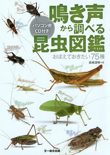 昆虫図鑑 鳴き声から調べる昆虫図鑑 おぼえておきたい75種／高嶋清明【3000円以上送料無料】