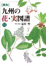 〈原色〉九州の花・実図譜 6/益村聖【3000円以上送料無料】