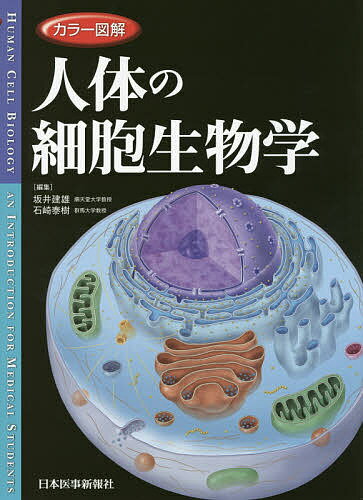 カラー図解人体の細胞生物学／坂井建雄／石崎泰樹【3000円以上送料無料】のサムネイル