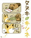 タヌキとキツネ 5/アタモト【3000円以上送料無料】