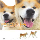 秋田犬ゴンとトラ あきたけんじゃないよあきたいぬだよ/講談社【3000円以上送料無料】