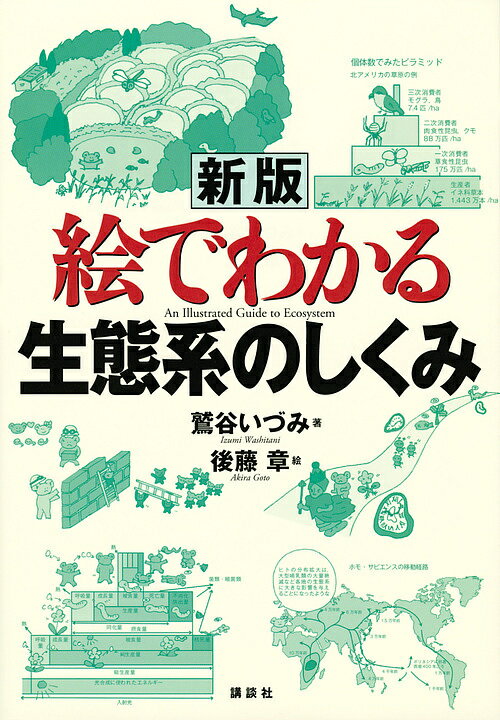 絵でわかる生態系のしくみ／鷲谷いづみ／後藤章【3000円以上送料無料】