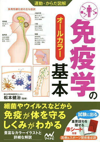 �ȱֳؤδ��� �����륫�顼�����ܷ򼣡�3000�߰ʾ�����̵����