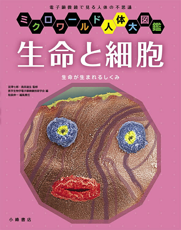 生命と細胞 生命が生まれるしくみ 電子顕微鏡で見る人体の不思議／宮澤七郎／島田達生／医学生物学電子..