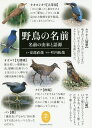 野鳥の名前 名前の由来と語源／安部直哉／叶内拓哉【3000円以上送料無料】